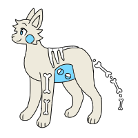 Visible Bones