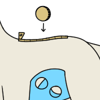 Abnormal Currency Slot