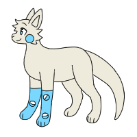 Feet Pouch