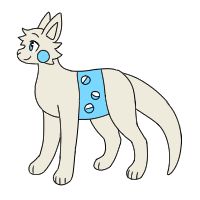 Midsection Pouch
