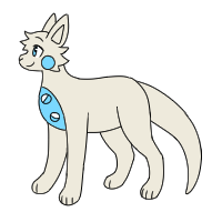 Chest Pouch