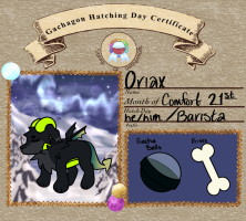 Submission thumbnail